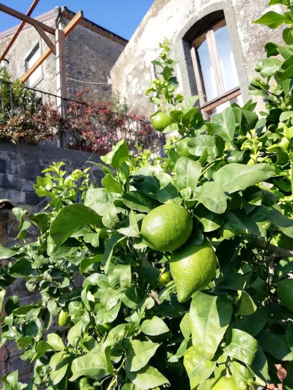 La Pietra Antica O' Munti Βίλα Mascali Εξωτερικό φωτογραφία